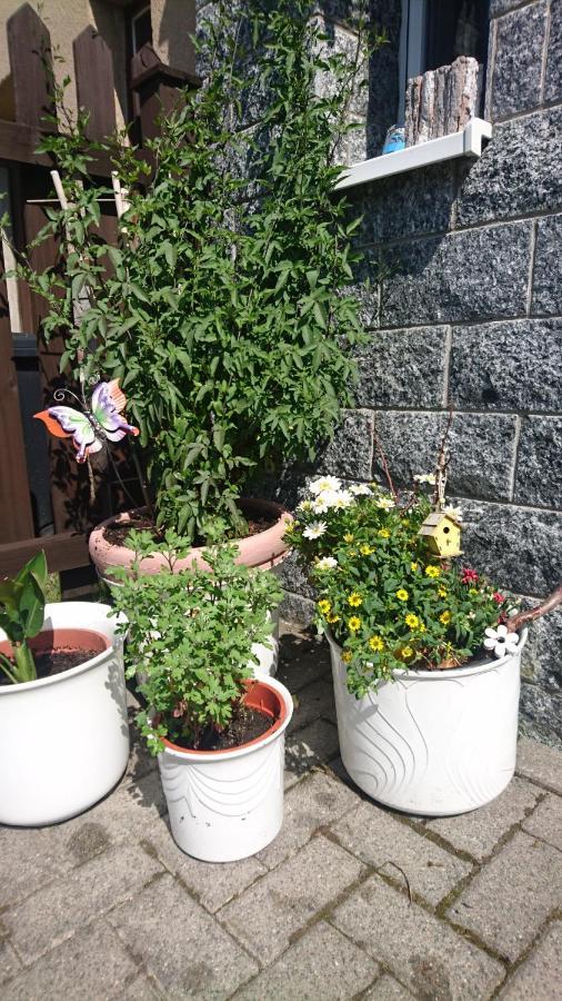 Ferienwohnung Mit Garten Und Spielplatz Klingenthal Esterno foto