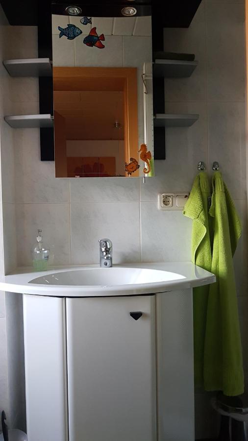 Ferienwohnung Mit Garten Und Spielplatz Klingenthal Esterno foto