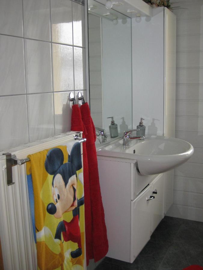 Ferienwohnung Mit Garten Und Spielplatz Klingenthal Esterno foto
